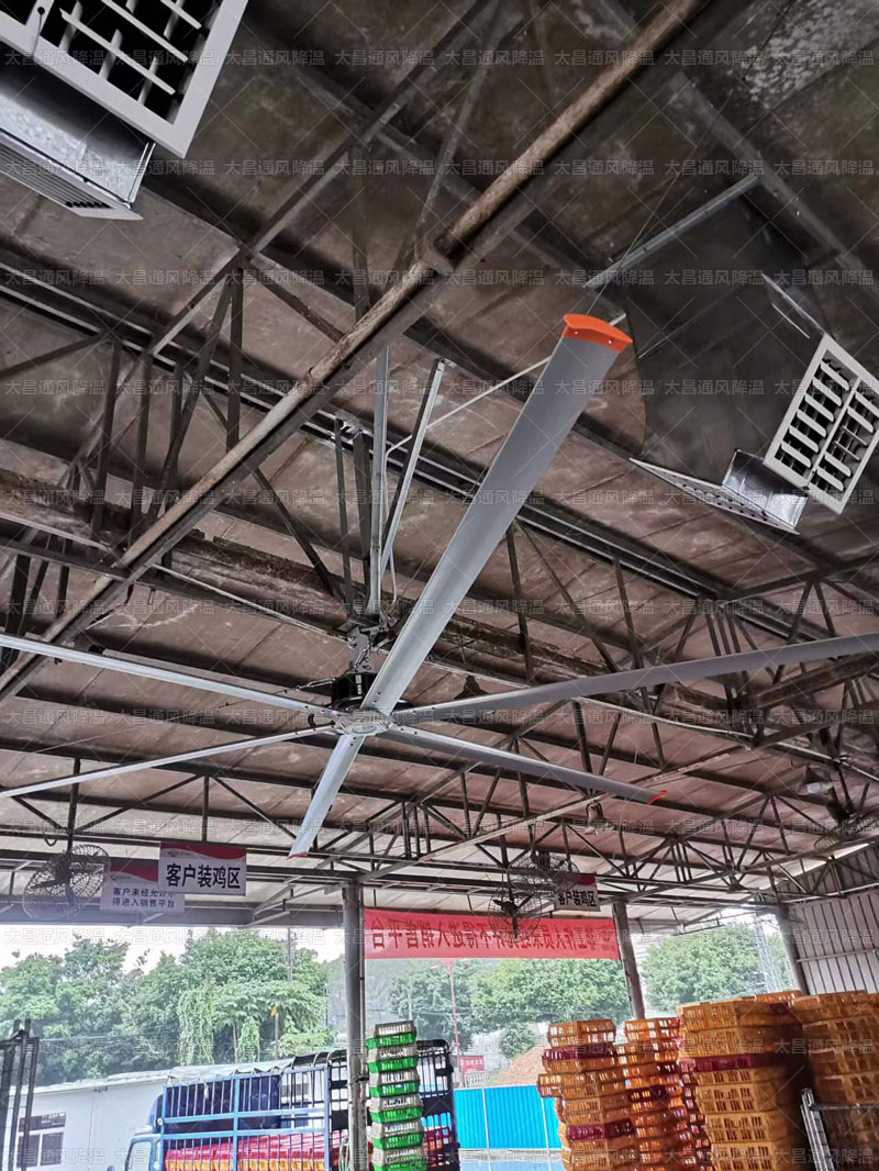 工業(yè)大風扇 19.jpg